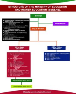 The Somaliland MOEHS Organizational Structure
